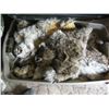Image 3 : BOX OF BOBCAT HEAD MOUNTS & TUB OF BOBCAT GREEN DRIED HIDES