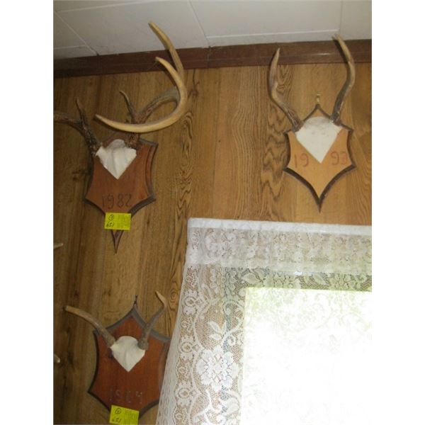 7 SETS OF ANTLERS