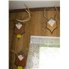 Image 1 : 7 SETS OF ANTLERS