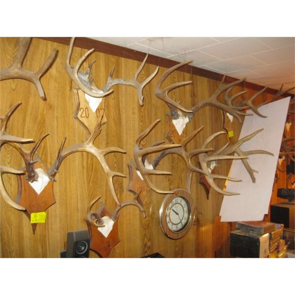 8 SETS OF DEER ANTLERS