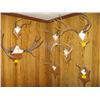 Image 1 : 7 ANTLER SETS