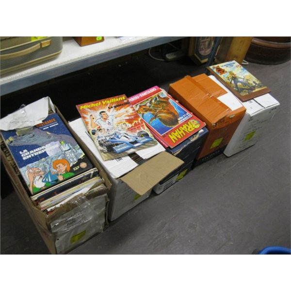 5 BOXES OF FRENCH LANGUAGE BOOKS