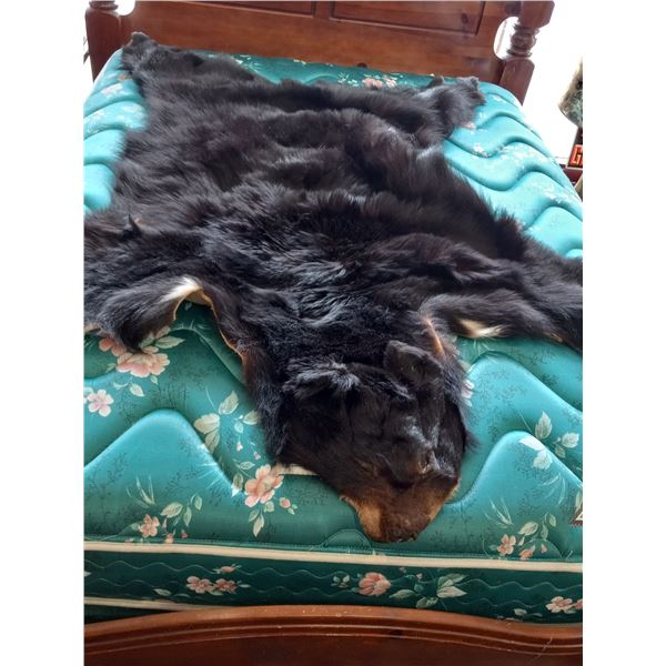 LARGE BLACK BEAR RUG NO HEAD