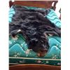 Image 1 : LARGE BLACK BEAR RUG NO HEAD