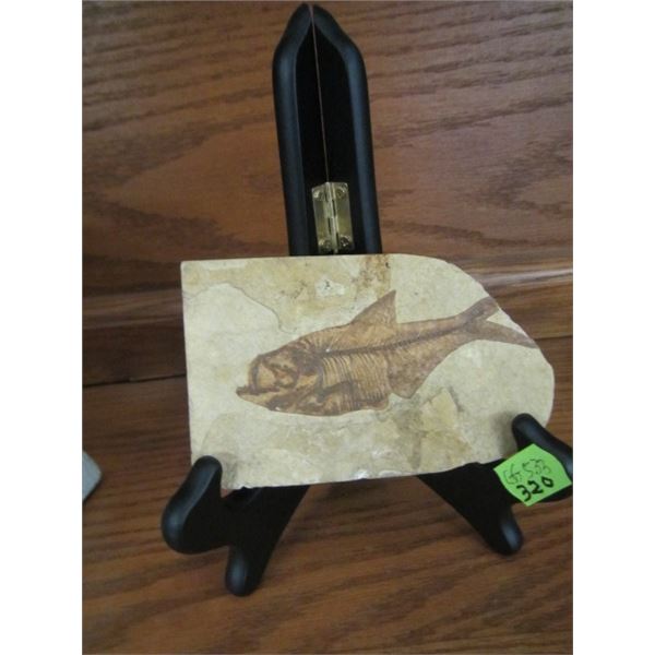 FOSSIL ROCK OF FISH ON STAND