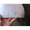 Image 2 : 1- 8' ROLL OF CANVAS SIGN MAKING MATERIAL