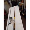 Image 1 : ONE FISHING ROD WITH A DAIWA REEL