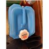 Image 6 : 2 PAIRS OF RUBBER BOOTS, SMALL COLEMAN COOLER BAG AND A BLUE WATER JUG