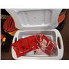 Image 3 : RED RUBBERMAID BUDWEISER COOLER WITH COOLER BAGS IN SIDE