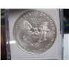 Image 2 : 2009 SILVER EAGLE DOLLAR WITHOUT MINT MARK