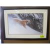 Image 1 : ROBERT BATEMAN PICTURE OF TIGER, 2005