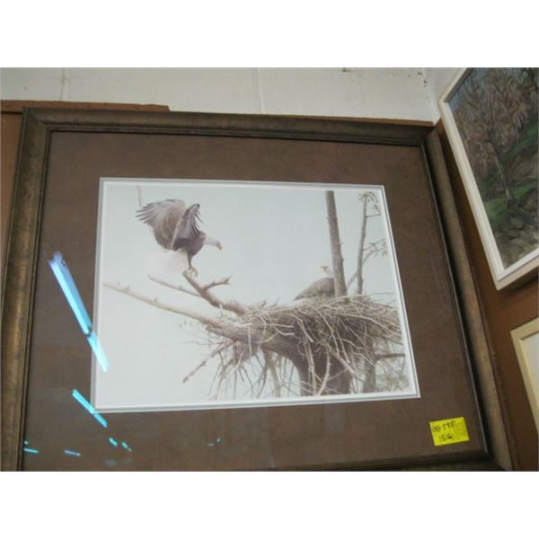 ROBERT BATEMAN, 2001, PICTURE, EAGLES IN NEST