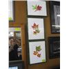 Image 1 : 3 COLORFUL PICTURES OF MAPLE LEAFS