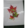 Image 3 : 3 COLORFUL PICTURES OF MAPLE LEAFS