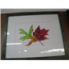 Image 4 : 3 COLORFUL PICTURES OF MAPLE LEAFS