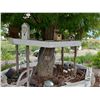 Image 1 : BIRDHOUSES