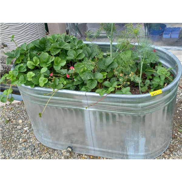 METAL TROUGH W/PLANTS & SMALL TUB W/PLANTS