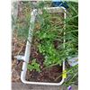 Image 2 : METAL TROUGH W/PLANTS & SMALL TUB W/PLANTS