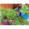 Image 1 : TUB W/POTATOES, 2 FLOWER POTS & BLACK POT