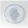 Image 2 : 10 Oz. .999 Silver British "Royal Arms" Coin
