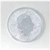 Image 2 : 10 Oz. .999 Silver British "Royal Arms" Coin