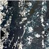 Image 2 : Wyland, "Black and White 15" Framed Original Painting, Hand Signed with Letter of Authenticity.