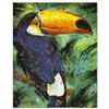 Image 1 : "Toucan" Limited Edition Giclee on Canvas by Stephen Fishwick, Numbered and Signed. This piece comes