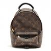 Image 1 : Louis Vuitton Brown Monogram Canvas Leather Mini Palm Springs Backpack