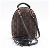 Image 2 : Louis Vuitton Brown Monogram Canvas Leather Mini Palm Springs Backpack