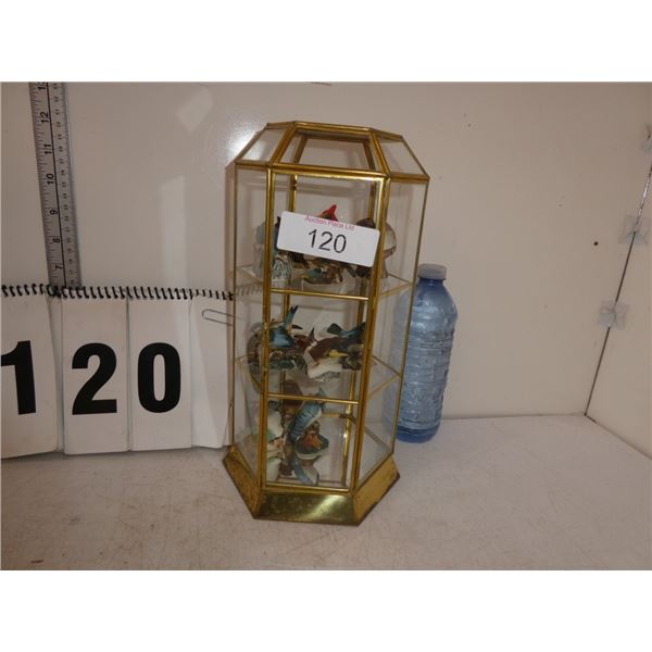 Misc. Miniature Birds In Display Case