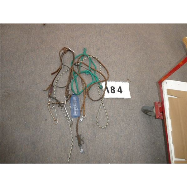 Horse Bridle With Bit/Leads