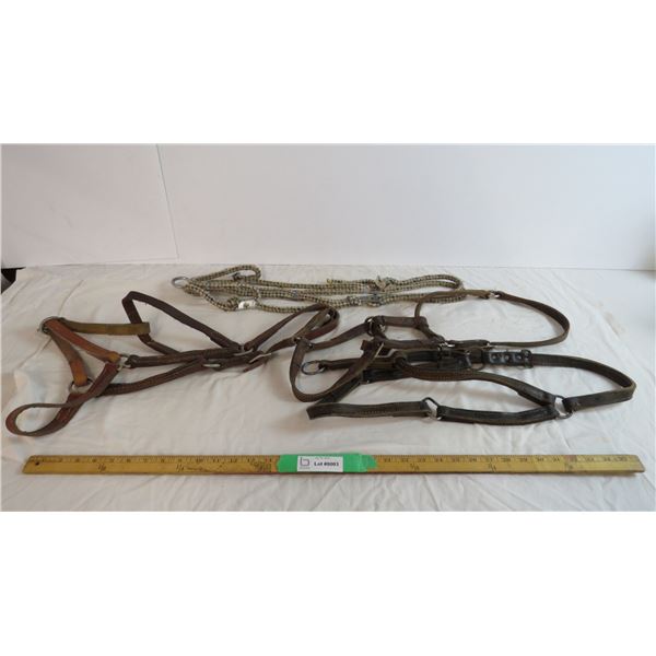 Halters 3 leather 2 needs repair 1 rope