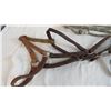 Image 2 : Halters 3 leather 2 needs repair 1 rope
