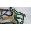 Image 3 : (6) Web Halters