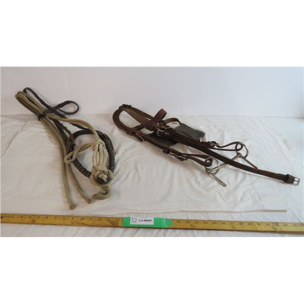 Driving Bridle and Large sized Bosal