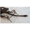 Image 3 : Driving Bridle and Large sized Bosal