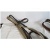 Image 5 : Driving Bridle and Large sized Bosal