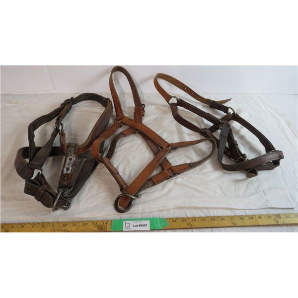 (3) Large Leather Halters