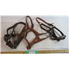 Image 1 : (3) Large Leather Halters