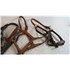 Image 3 : (3) Large Leather Halters