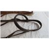 Image 5 : (2) Bridles, one with roping reins