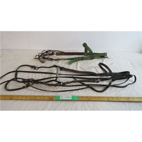 Leather Bridle with split reins, Web Bridle