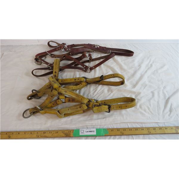 (4) Leather Halters, smaller sized