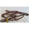 Image 2 : (4) Leather Halters, smaller sized