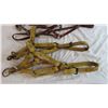 Image 3 : (4) Leather Halters, smaller sized