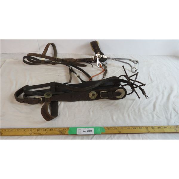 Hackamore Bridle, Twisted Bit Bridle