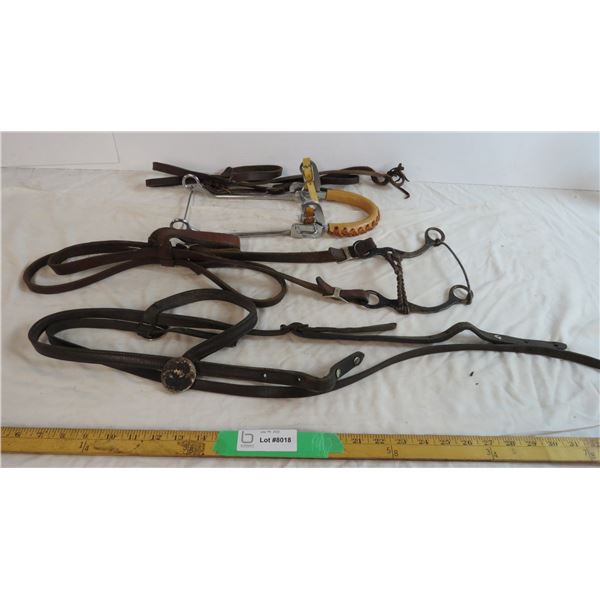 (2) Leather Headstalls, Hackamore, Leather Bridle