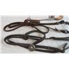 Image 3 : (2) Leather Headstalls, Hackamore, Leather Bridle