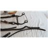 Image 4 : (2) Leather Headstalls, Hackamore, Leather Bridle