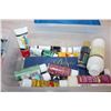 Image 4 : Plastic container with painting supplies